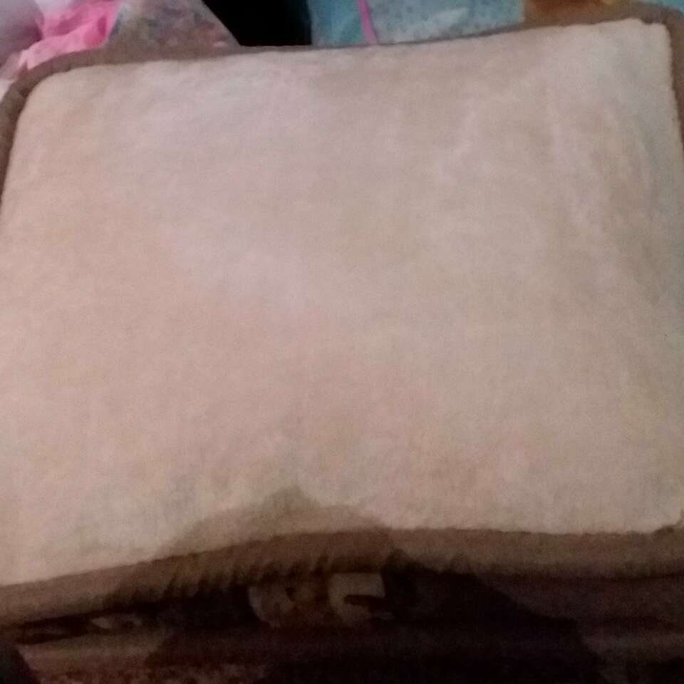 Kennel Club orthopedic dog bed