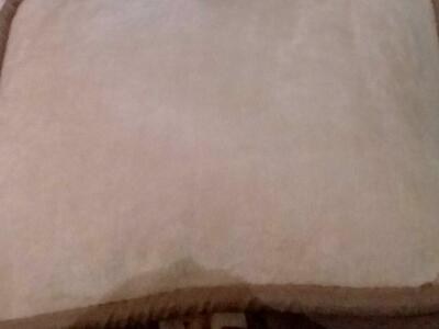 Kennel Club orthopedic dog bed