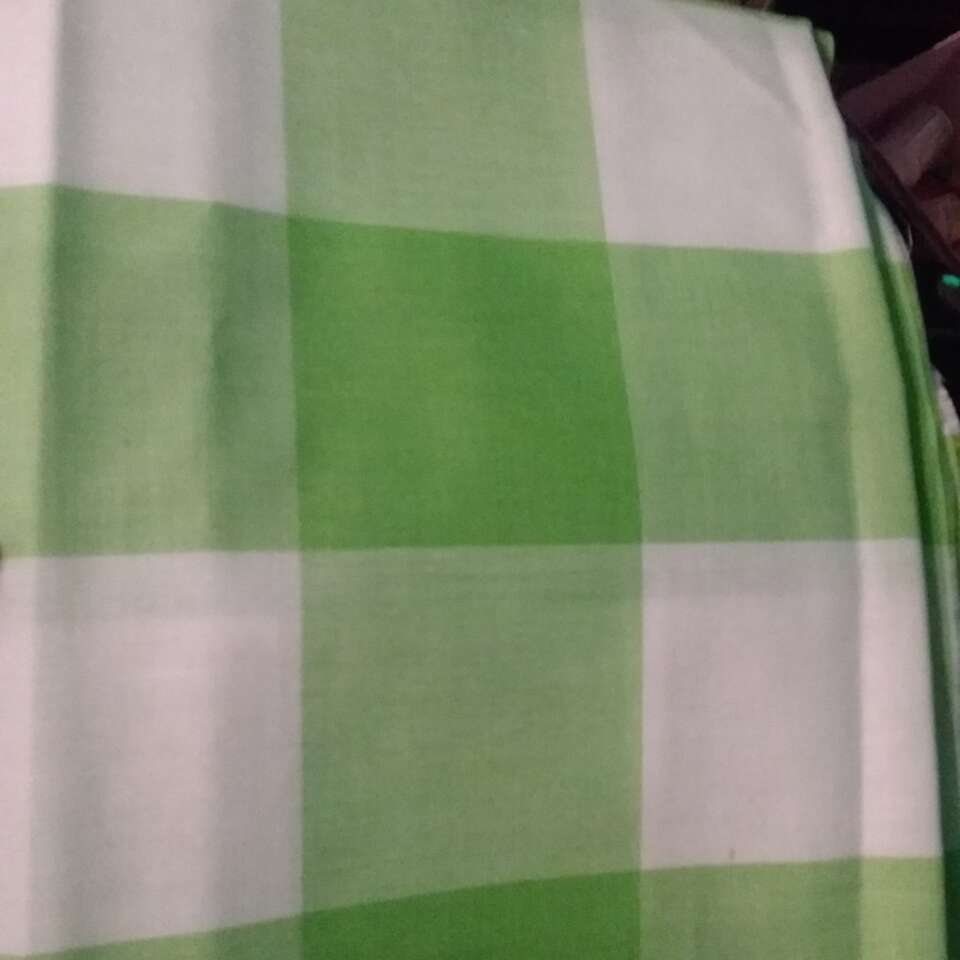 GREEN GINGHAM..3 INCH SQUARES...1.5 YARDS