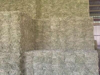 Alfalfa Small Bale Bundles