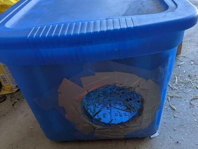 insulated Cat shelter