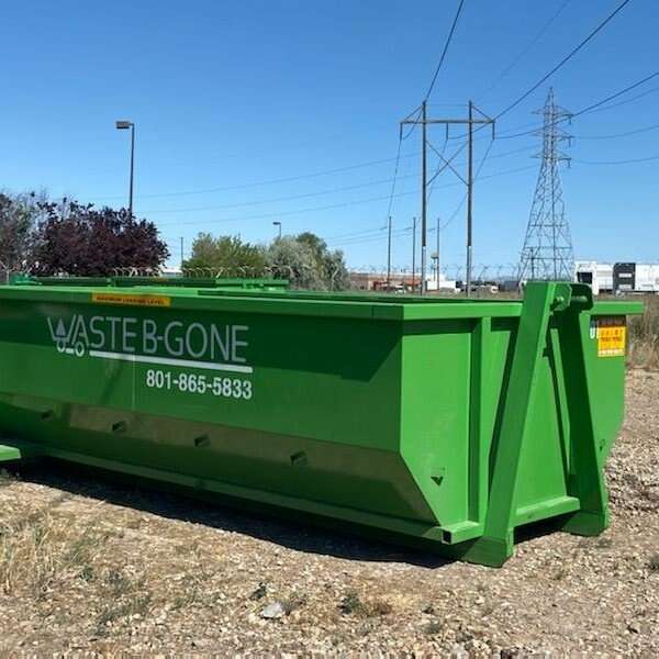 Dumpster rental - best prices call today