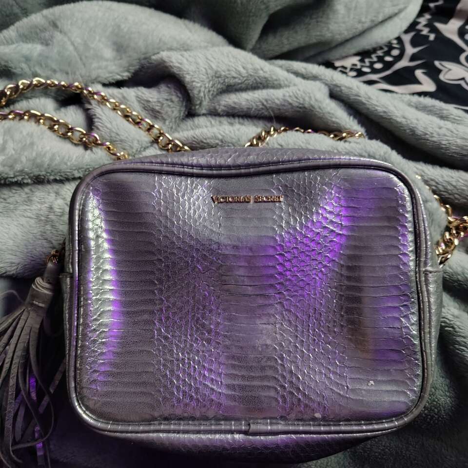 Victoria's Secret Metallic Bag