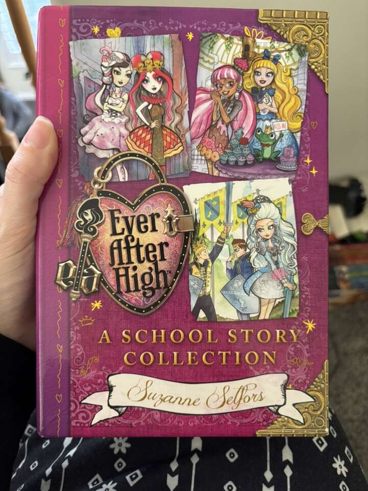 Ever After High Box Set Look And Feel New