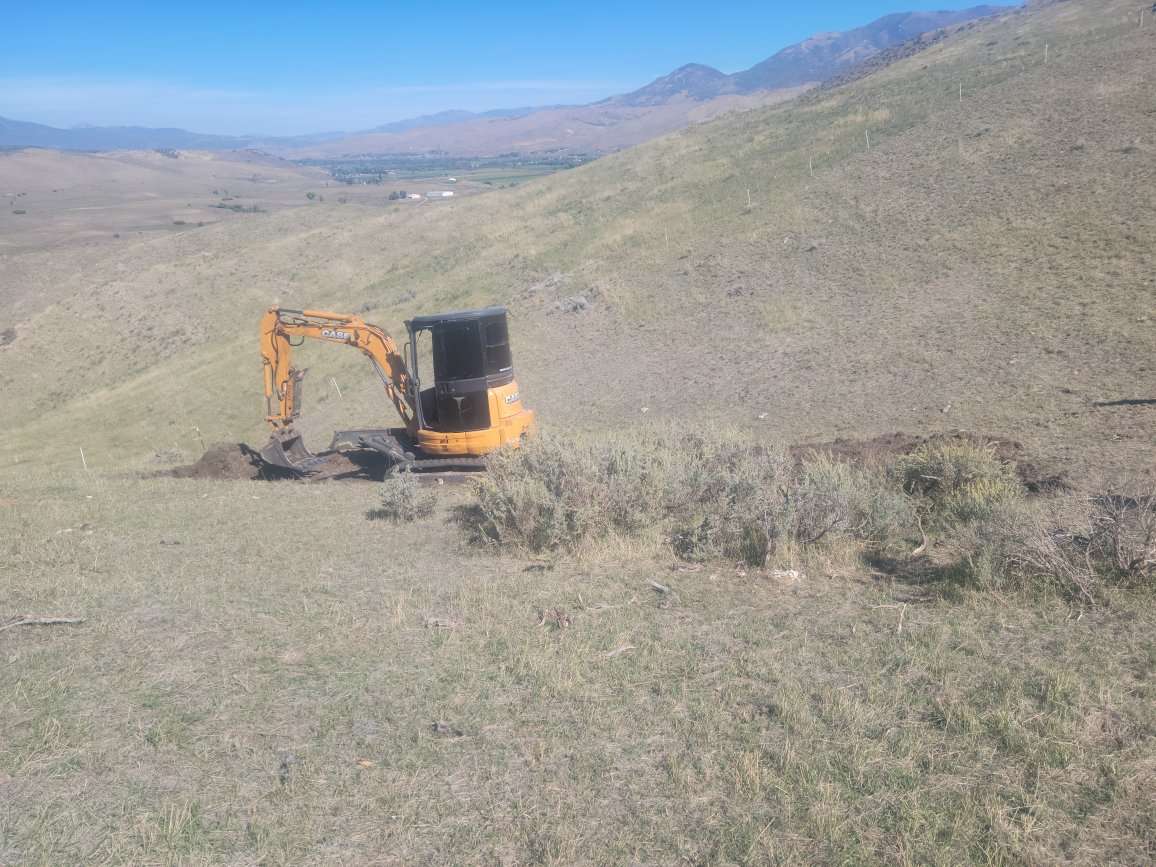 Rent me and my mini $100/hr.