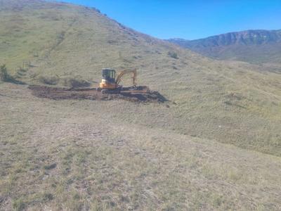 Rent me and my mini $100/hr.