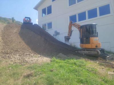 Rent me and my mini $90/hr.