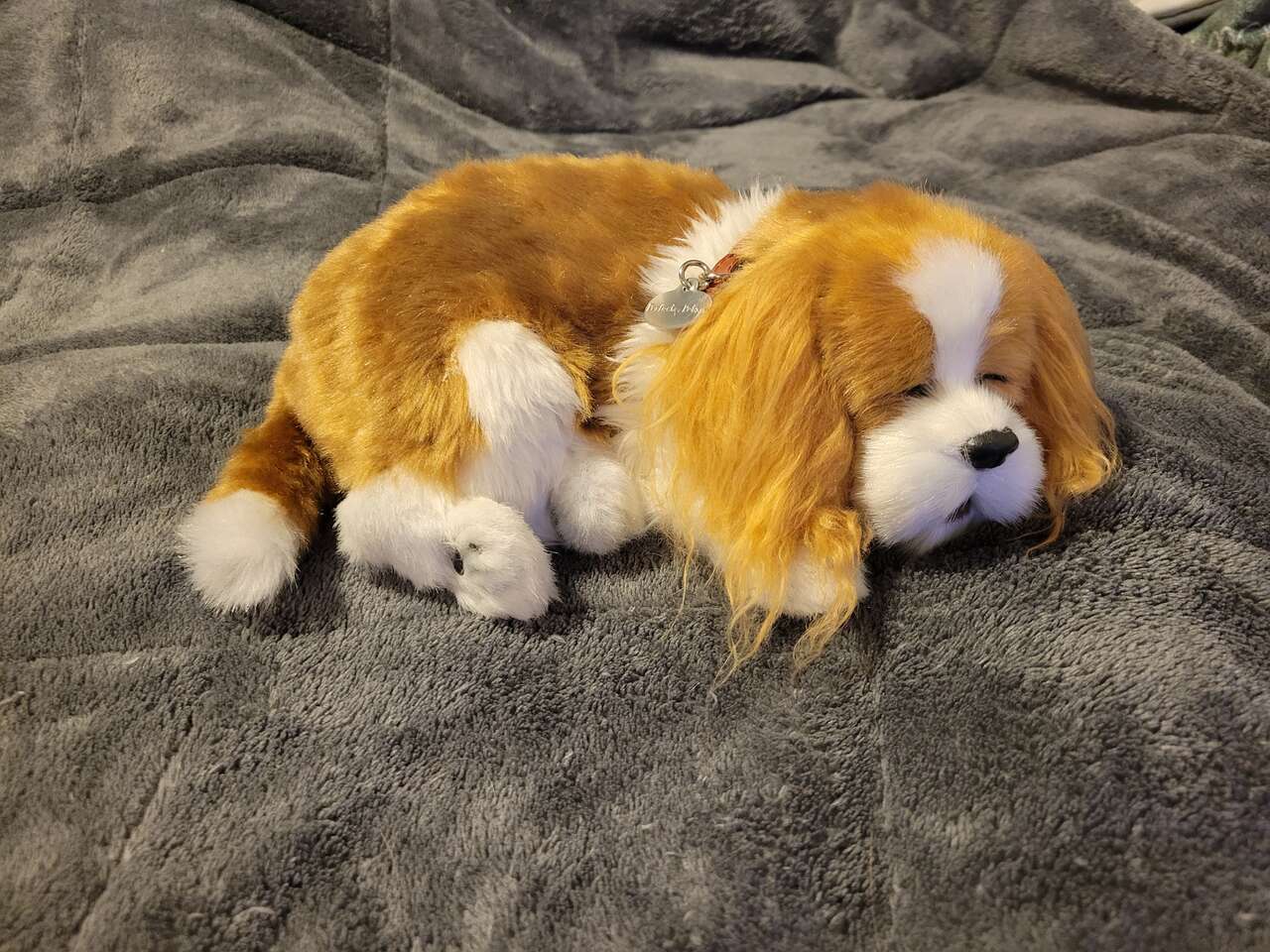 Perfect Petzzz Puppy Dog