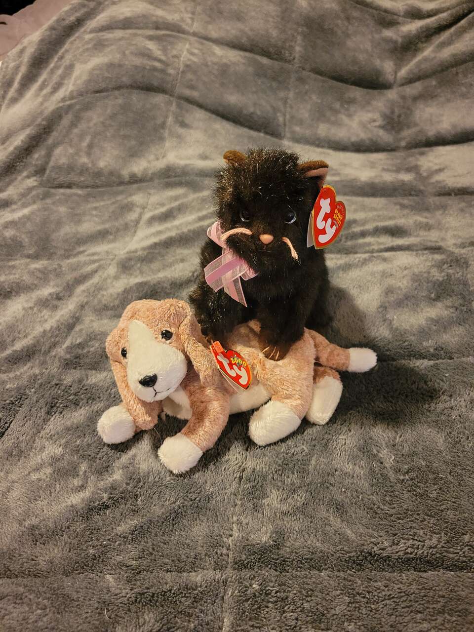 Beanie Baby Babies Sniffer, Heiress