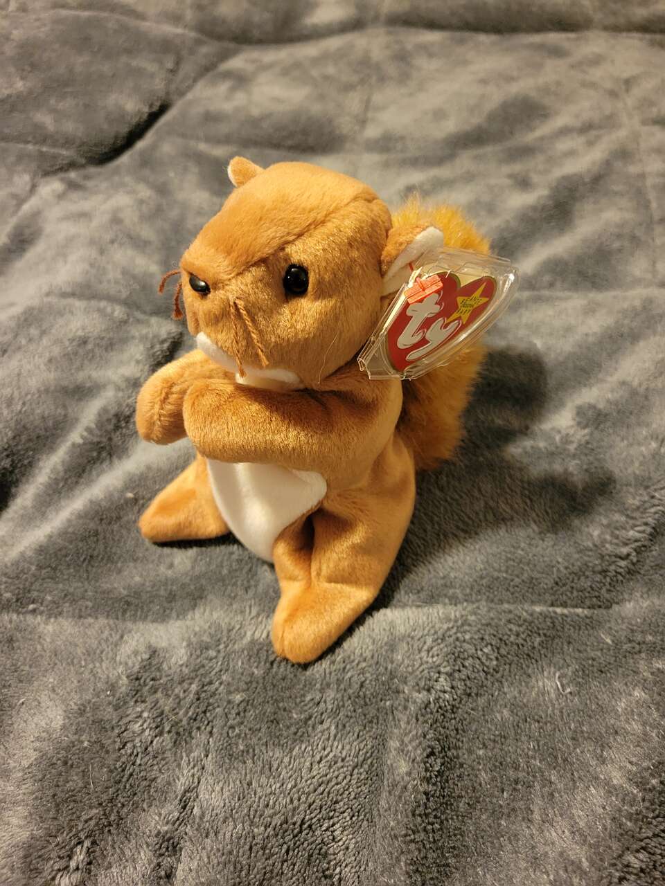 Beanie Baby NUTS the squirrel