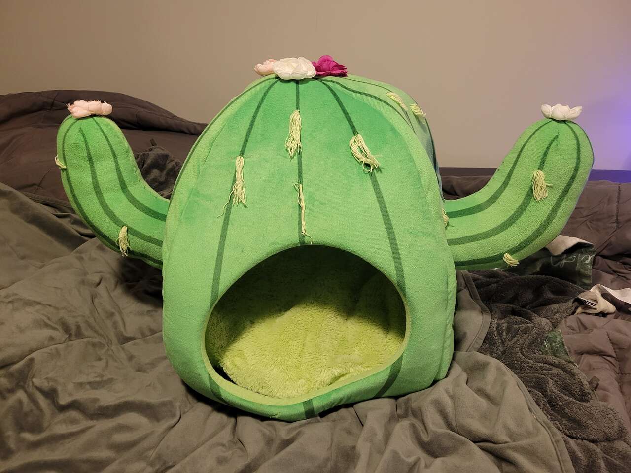 Pet Cat / small Dog Green cactus hut house bed, with flowers, cushion bedding pillow