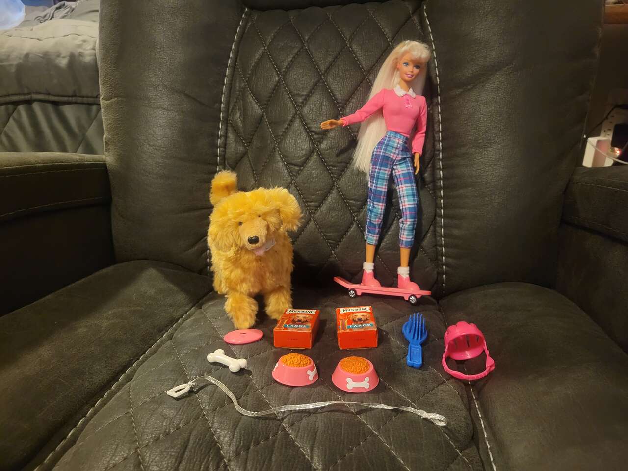 Barbie & Ginger Pet Dog Doll Set with skateboard, food, and more Accessories 1997