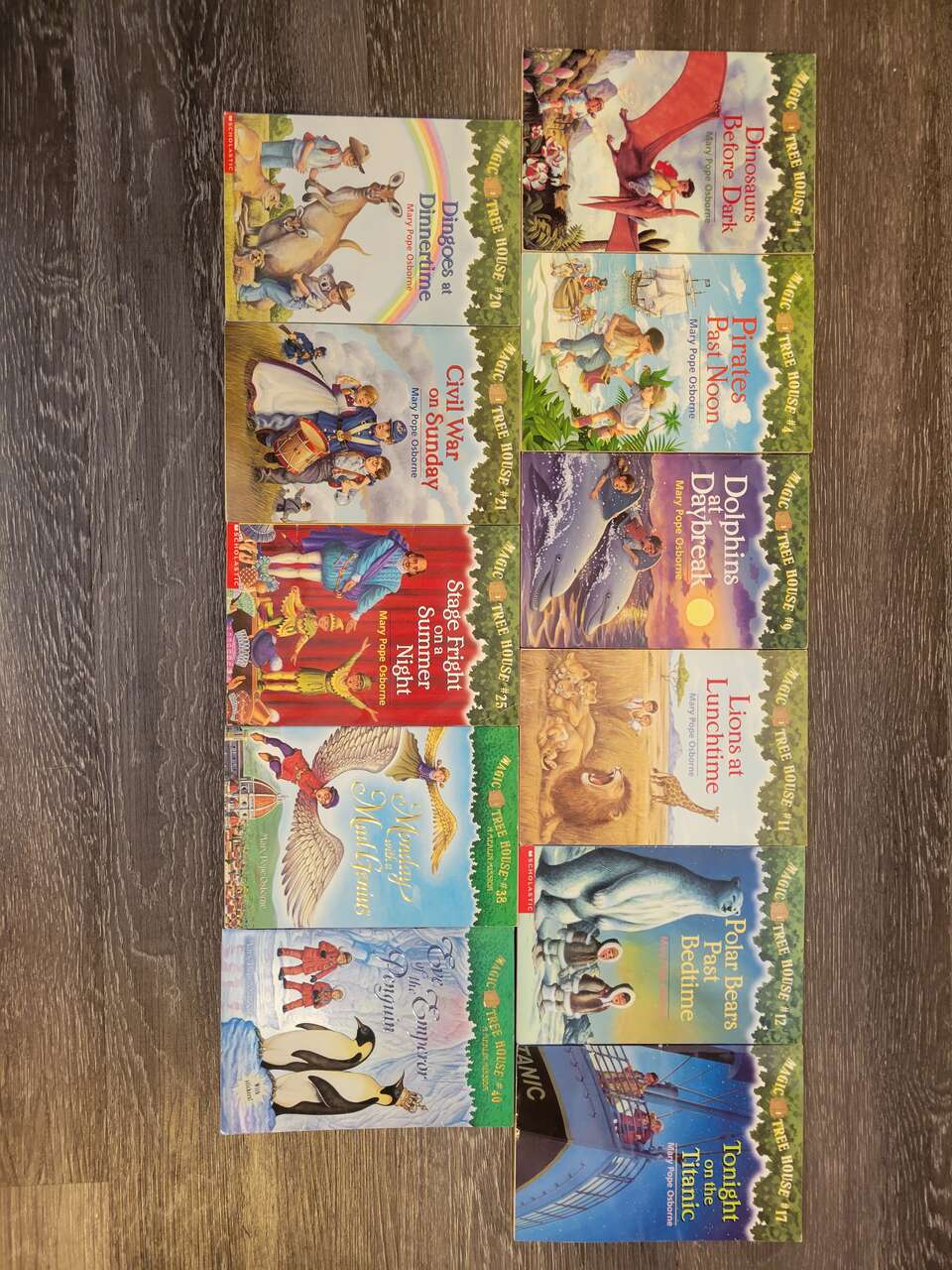 11 Paperback books of Magic Tree House series by Mary Pope Osborne 1, 4, 9, 11, 12, 17, 20, 21, 25, 38, 40