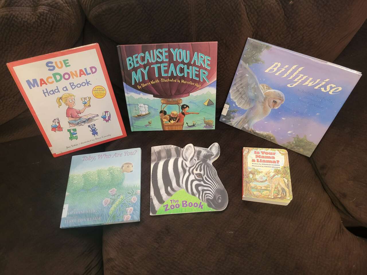 Children books Sue Macdonald had a book- The zoo book- Because you are my teacher- Billywise- Tob, who are you?