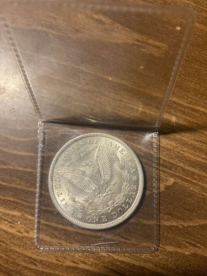 Silver Dollar