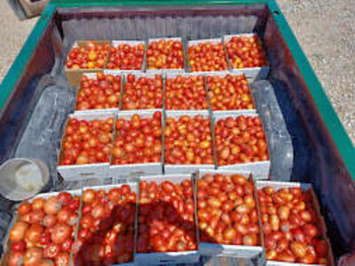 Fix Your Soil ! Fix your problems.