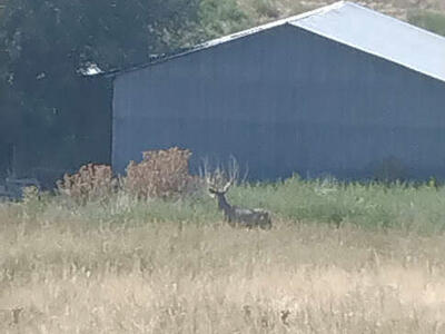 WANTED: A Farmer with an Open Mind ...and a small