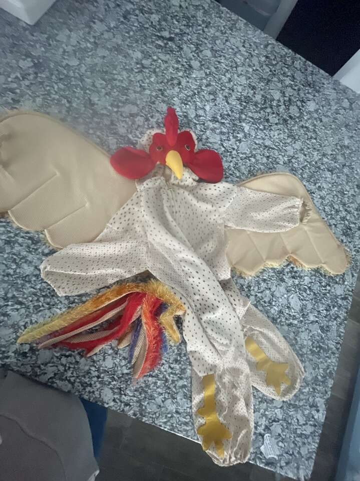 Adoraable Chicken Costume!!! 2-3T