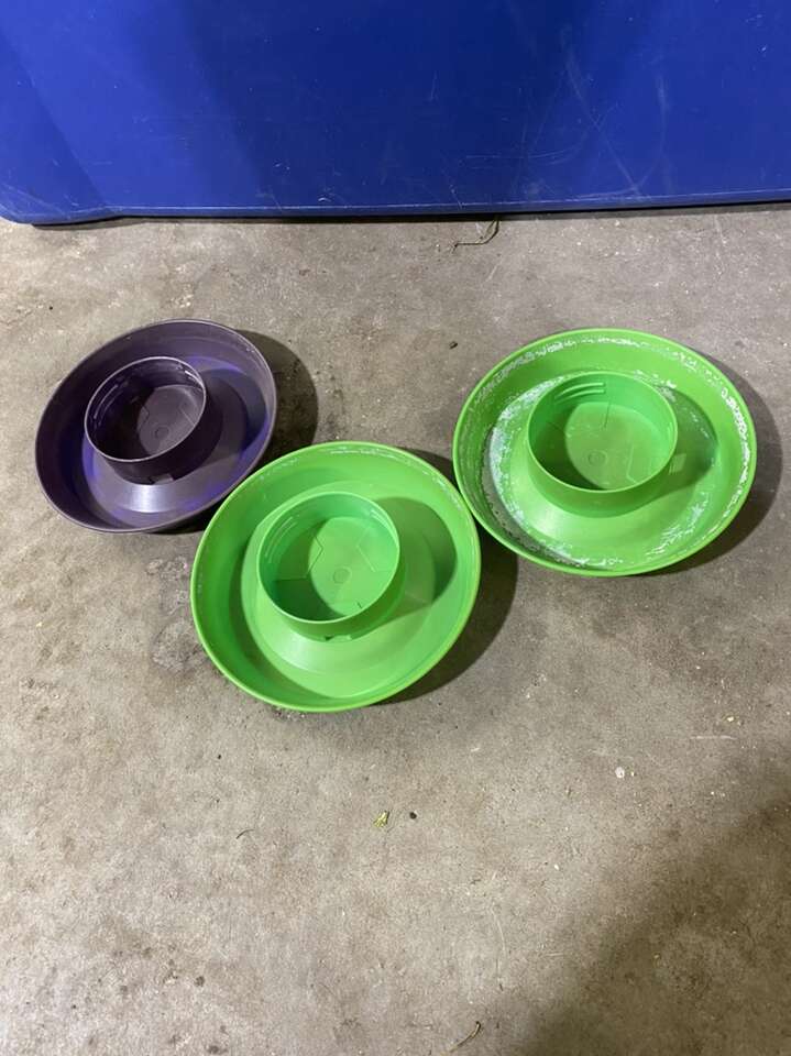 Free Chicken Waterers FREE