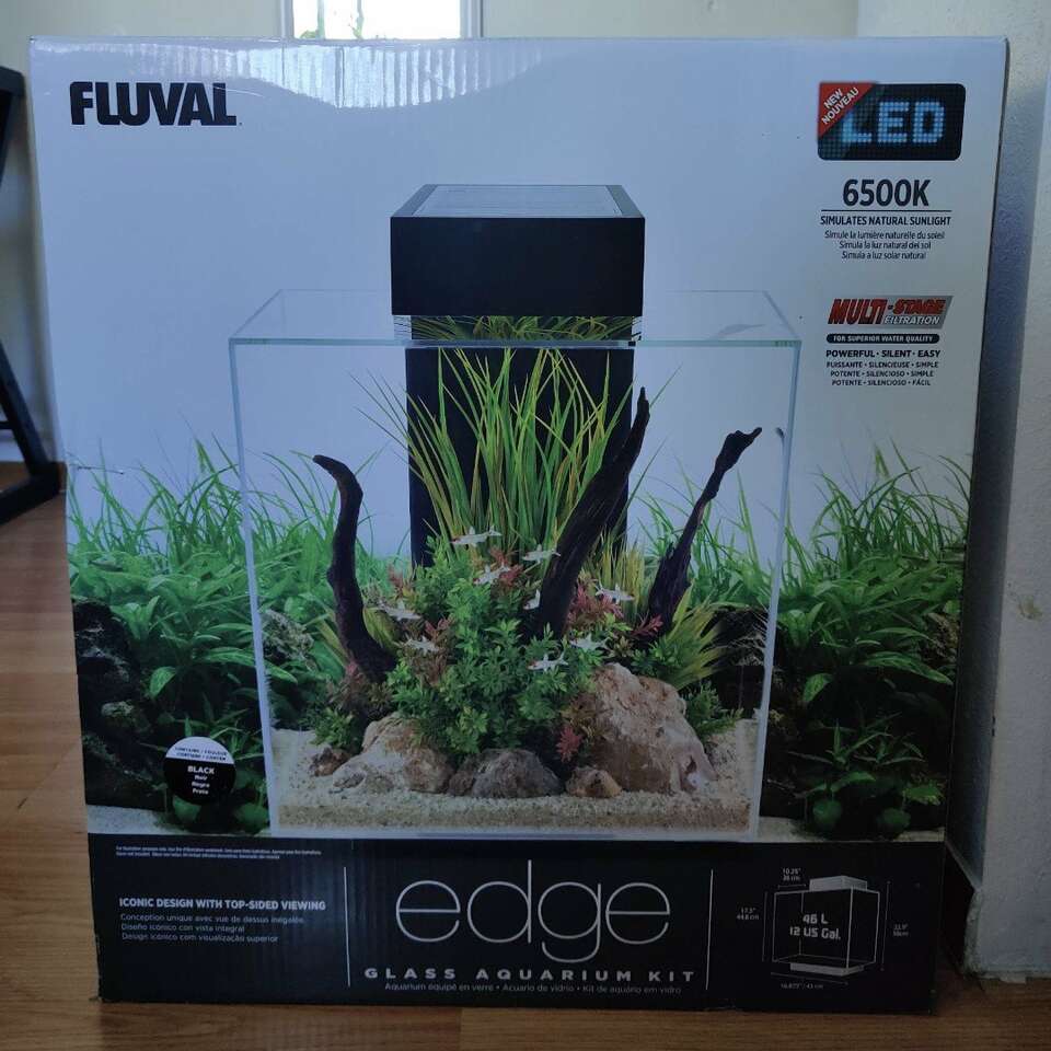 Beautiful fish tank Pets