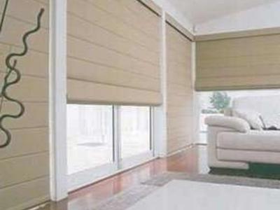 Designer Roman Shades Pleated w/ valance