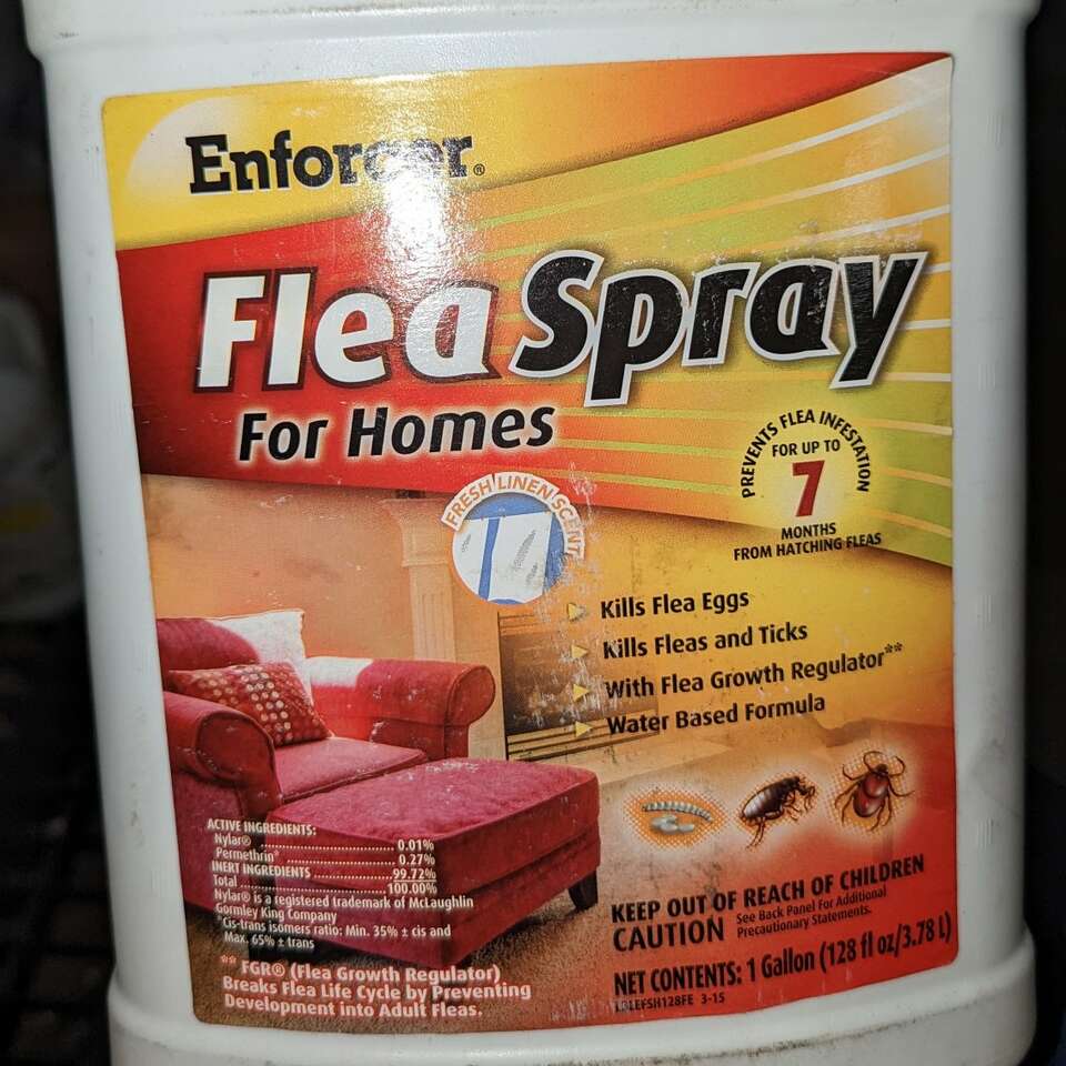 Enforcer Flea Spray for Homes 1 gallon