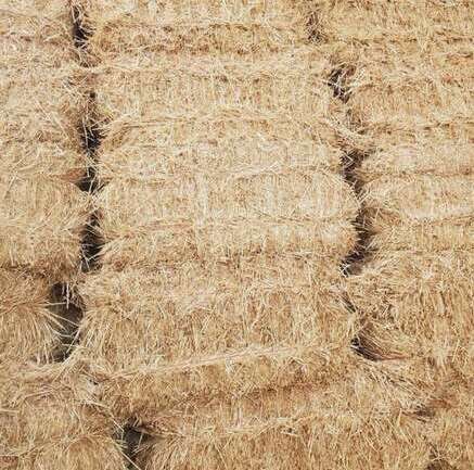 Small Bales Straw (435-770-8701)