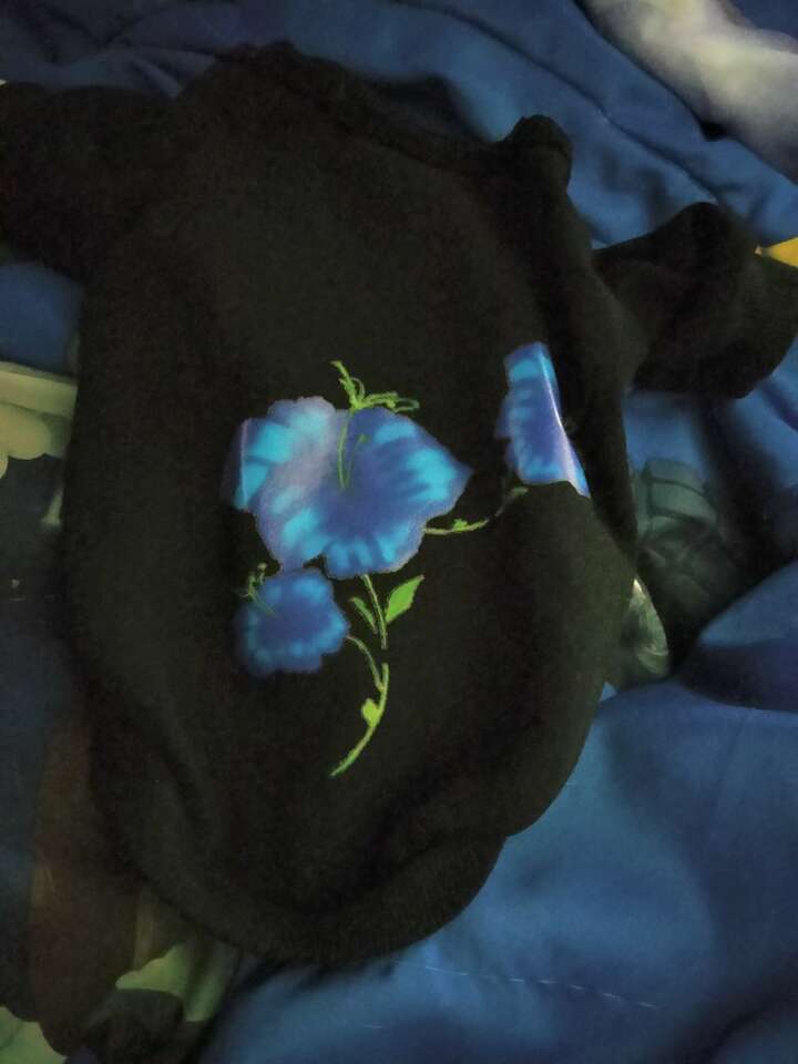 Black pet shirt