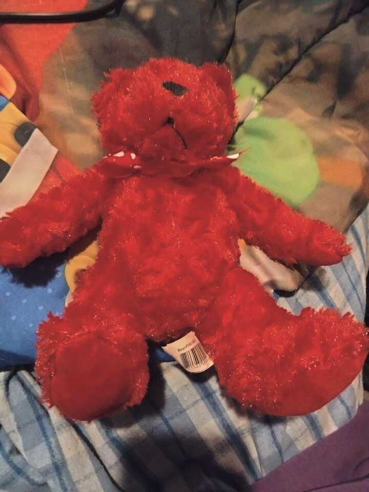 Red Valentine bear