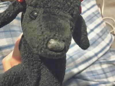 Ty Beanie Baby Gigi Black Poodle