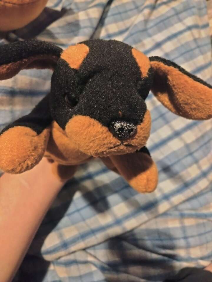 Ty Beanie Babies Doby the Doberman