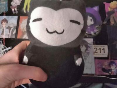 Black & White Kleptocat