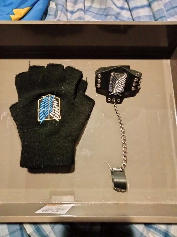 Attack on Titan accessories