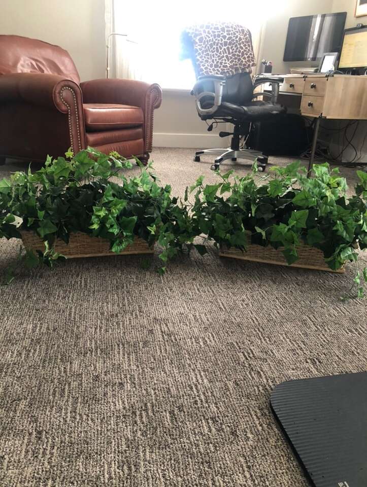 Artificial Ivy Baskets