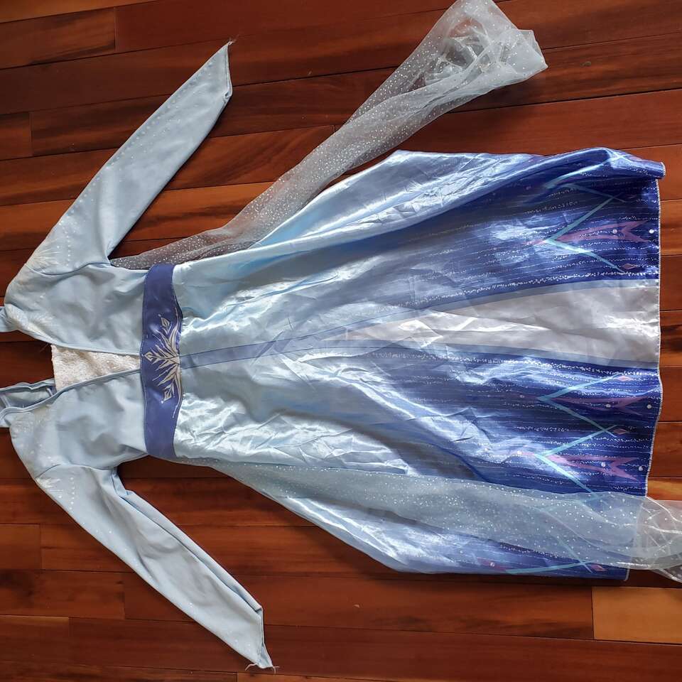Frozen 2 costumes