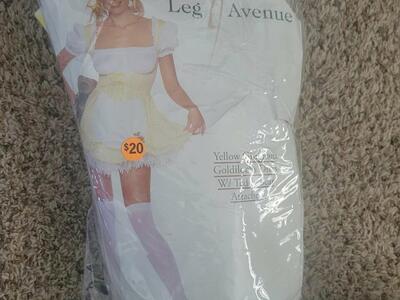 Adult Halloween Costume! Goldilocks
