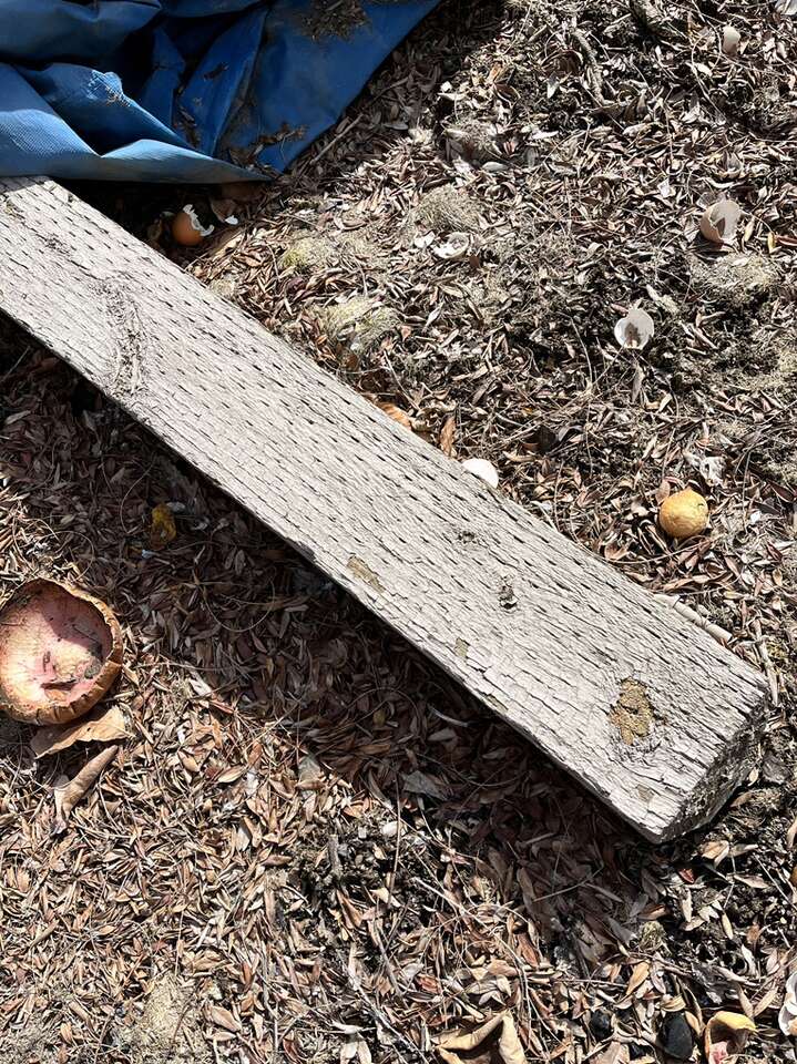 Treated Fence Posts and Gate