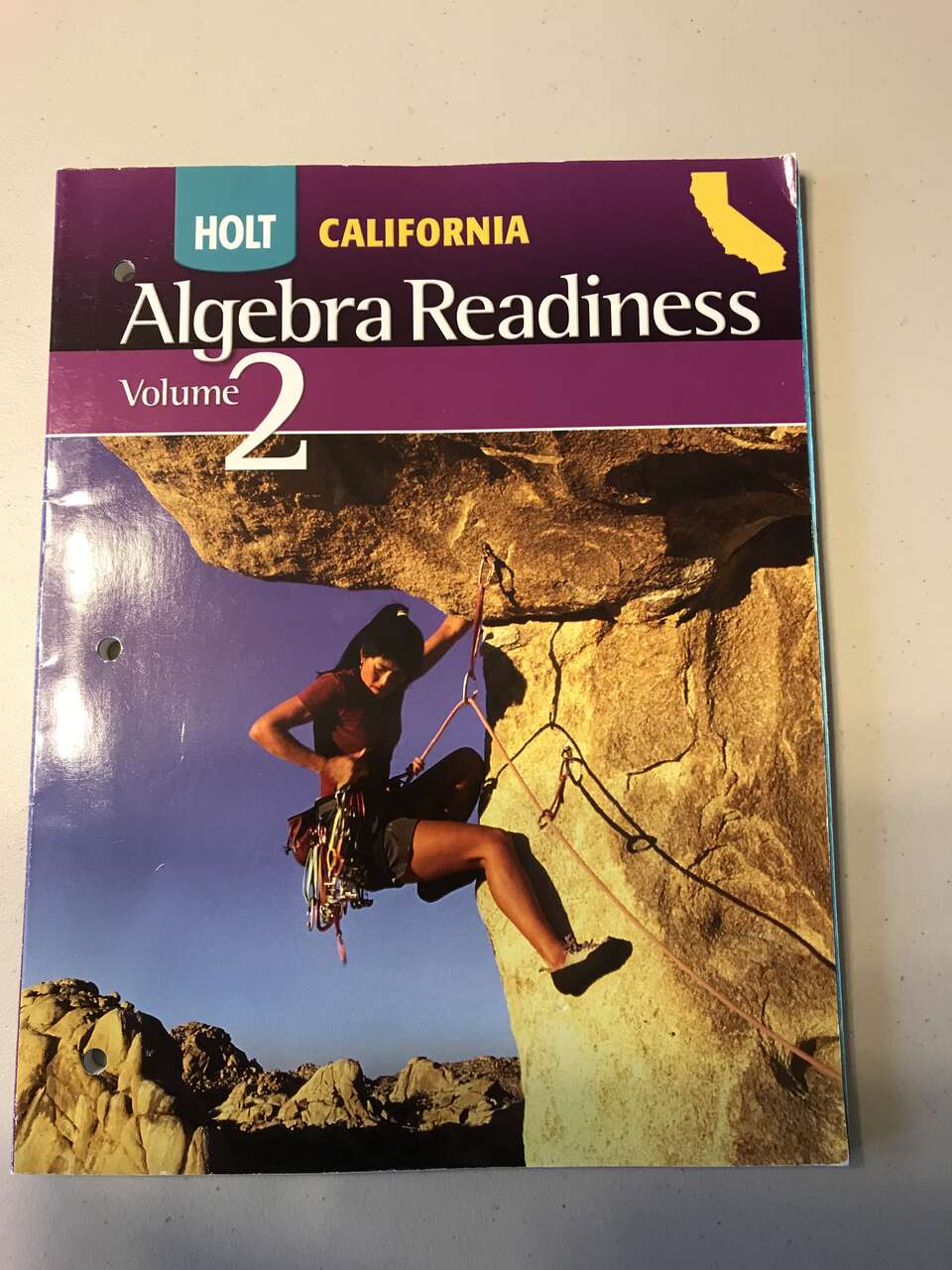 Algebra Rediness Volume 2, 7th Grade, Holt Press