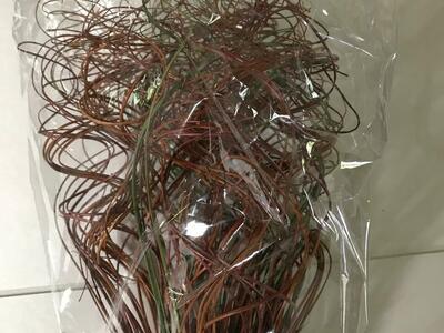 Curly Ting Ting Branches 2 Ft Tall Fall Colors by Tuscan Collection or Fall Bushes Faux Floral Picks, New