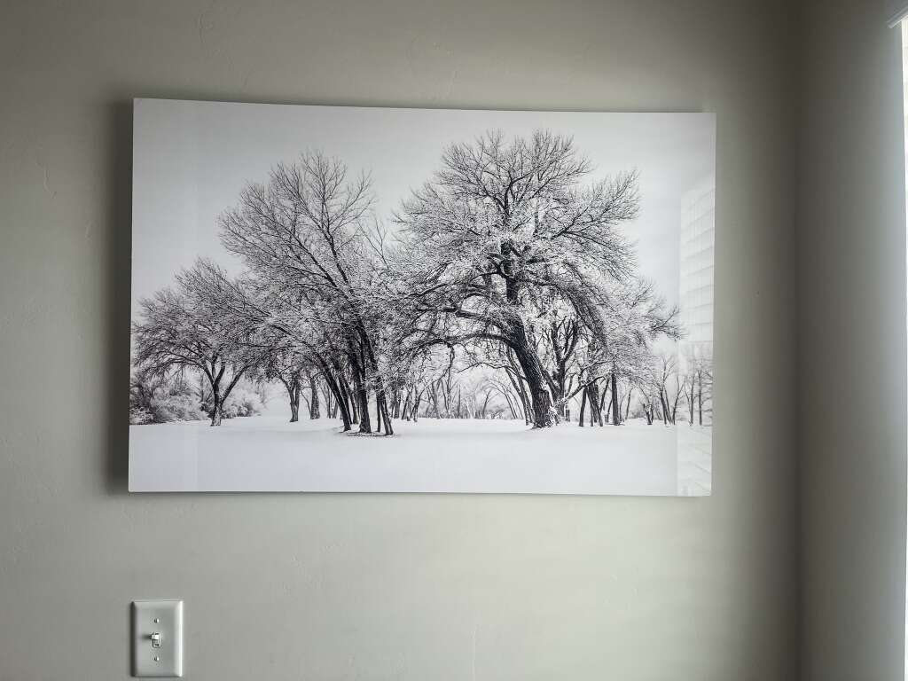 Metal Art Winter Tree 24x36