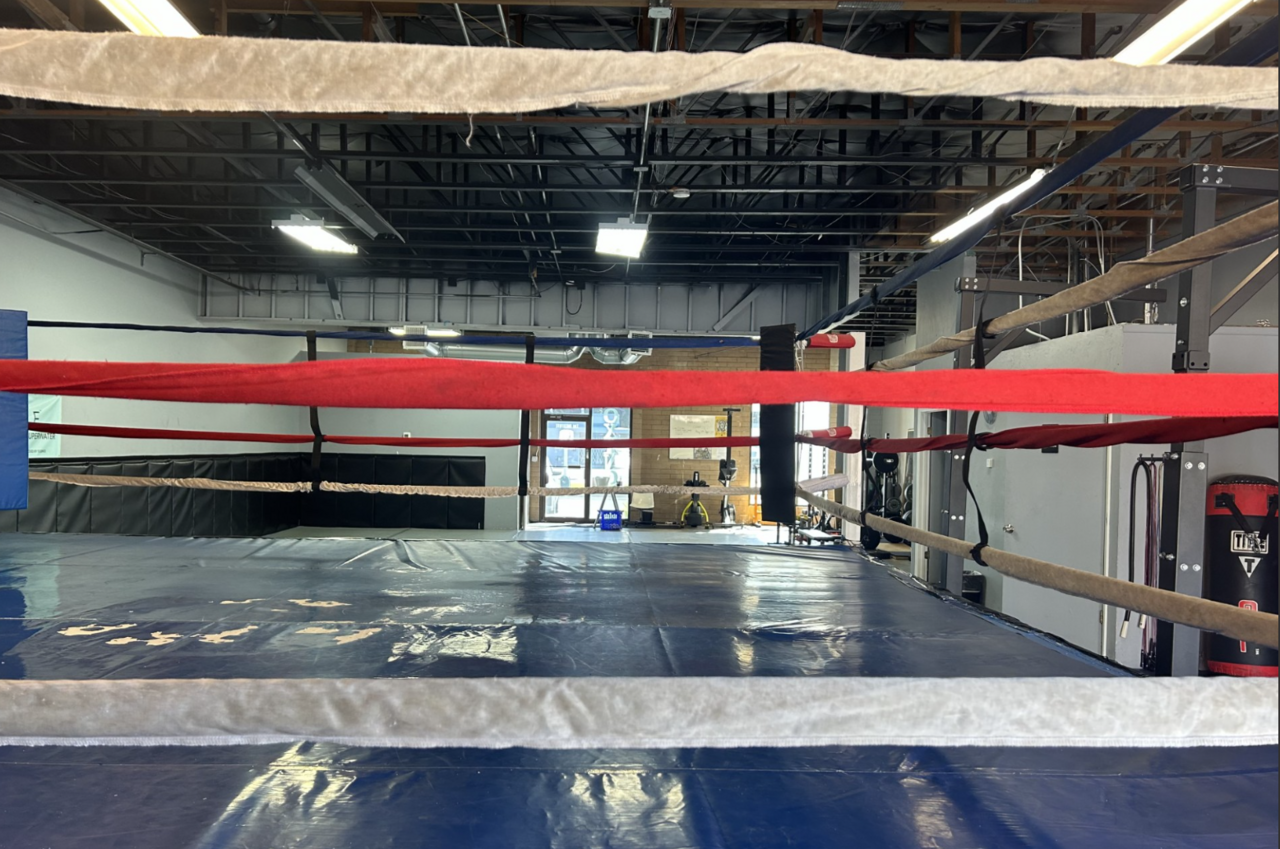 MIXED MARTIAL ARTS GYM FOR SALE