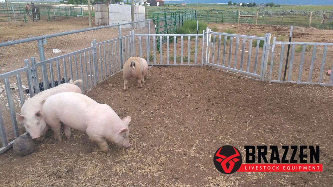 Hog & Goat Panels & Gates