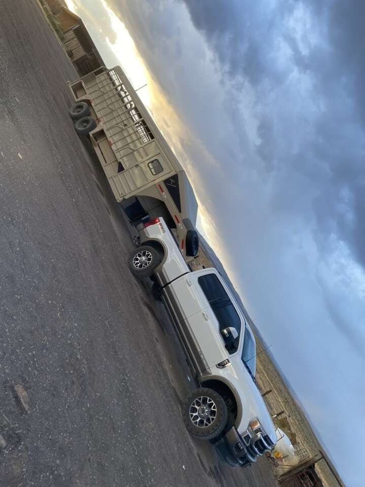 LIVESTOCK TRANSPORTATION