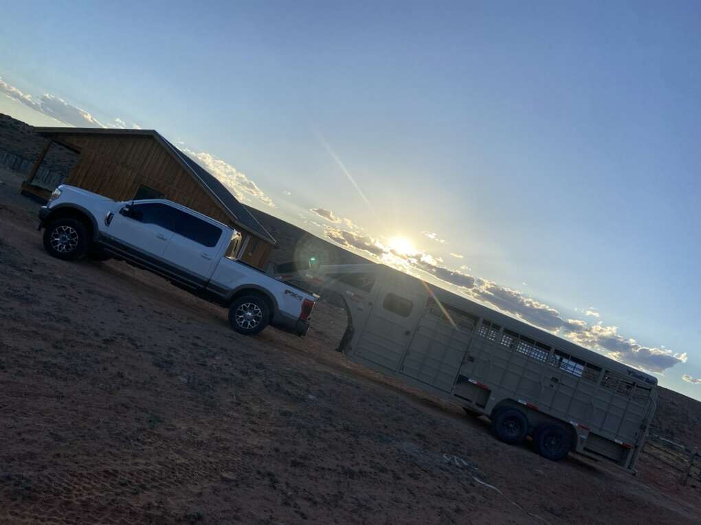 LIVESTOCK TRANSPORTATION