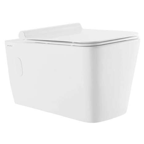 Toilet Bowl Wall Hung