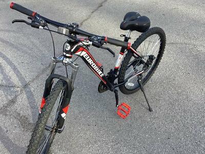 29 inch iron horse sales men s yakuza 5.1 mountain bike