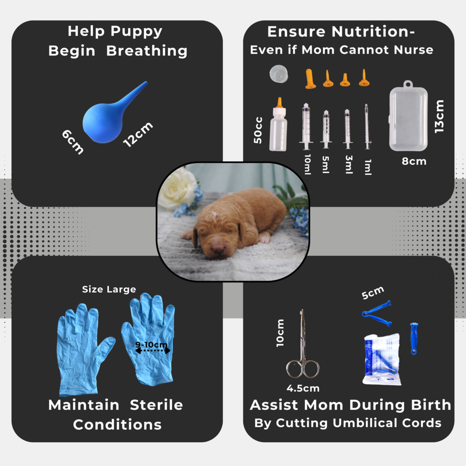 Whelping Kit for Puppies, Great for Breeders, Rescues, or Responsible Dog Owners