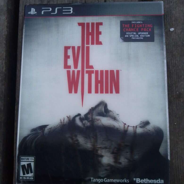The evil within