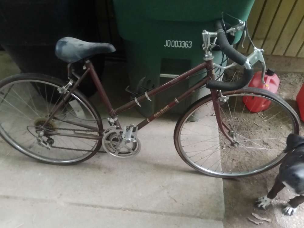 Vintage 10 speed bicycle