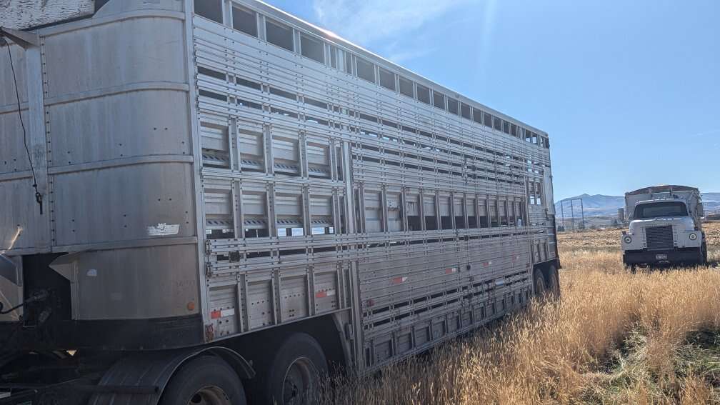 Wilson Livestock Semi Trailer
